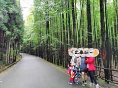 -山王坪喀斯特国家生态公园