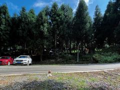 -重庆睡佛山森林公园