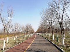 -天津东丽湖风景区