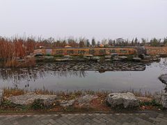 -泗洪洪泽湖湿地景区