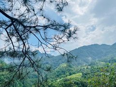 -石台牯牛降景区