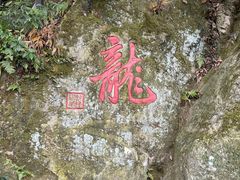 -十八棵（老龙井）御茶园(老龙井店)