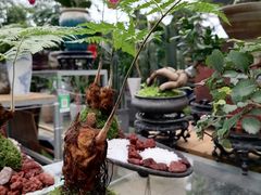 -三圣花乡旅游区