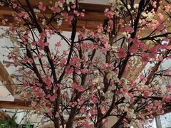 -蜜桃餐厅·伴山(湖滨商业街店)