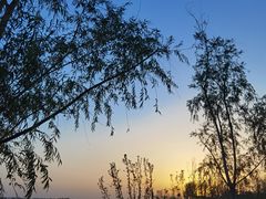-白洋淀风景区