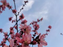 -西北湖绿化广场