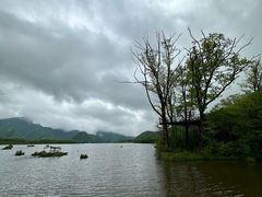 -大九湖