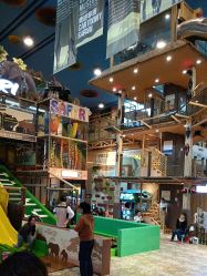 -卡通尼·Safari非洲探索乐园·生日会(金桥国际商业广场店)