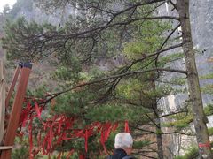 -秦岭天竺山生态文化旅游景区