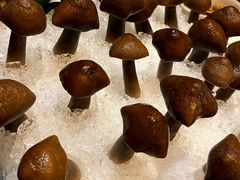-揽季锅物会.福建黄鱼.海鲜姿造(五四路店)