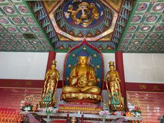 -上海东林寺(金山区)