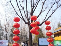 -济南植物园