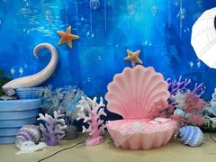 -西安曲江海洋极地公园