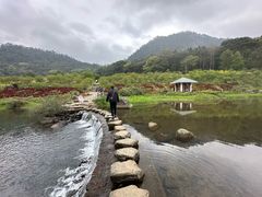 -广州市石门国家森林公园