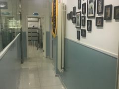 -中农大我爱我爱24h动物医院·中医针灸·猫专科·骨科医疗中心(双井店)