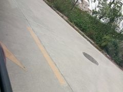 -化龙驾考场