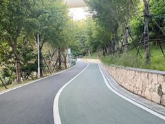 -飞凤山奥体公园
