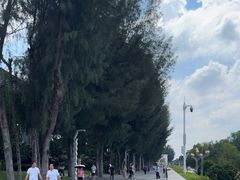 -宝安西湾红树林湿地公园