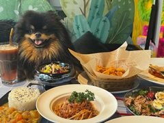 -百好乐宠物友好餐厅(朝外大街店)