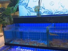 -透明思烤·自助烤肉海鲜火锅(东部星悦天地店)