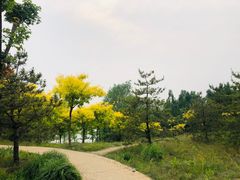 -东郊湿地公园