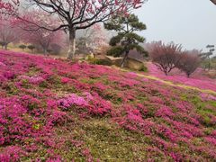 -石岛赤山风景区