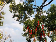 -香蜜公园