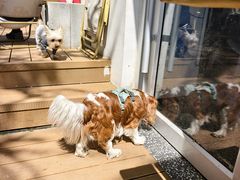 -小意思咖啡店(草桥店)