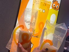 -CoCo都可(长江西路华联店)
