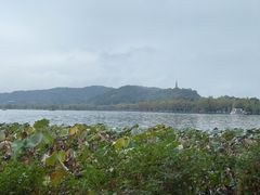 -湖畔居茶楼(湖滨店)