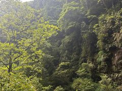 -碧峰峡风景区