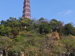 -顺峰山公园