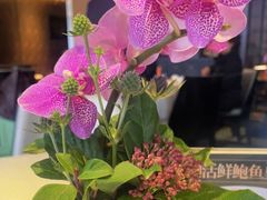 -皇朝会.经典传统粤菜(外滩店)