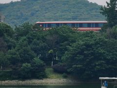 -羊山湖公园