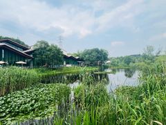 -西湖风景区-江洋畈生态公园