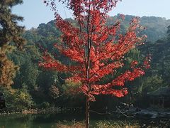 -香山公园