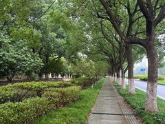 -昆山城市生态森林公园