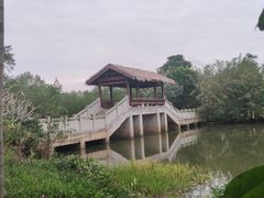 -沙美村
