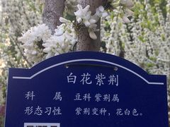 -紫荆山公园