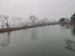 -无锡蠡湖国家湿地公园-蠡园