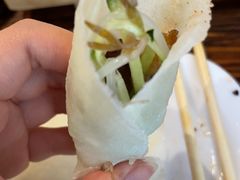 -杨姨妈丝娃娃(花果园店)