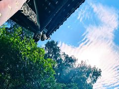 -凤栖山