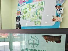 -天宠宠物医院24小时·急重症诊疗中心·全科·腔镜特色(和平分院)