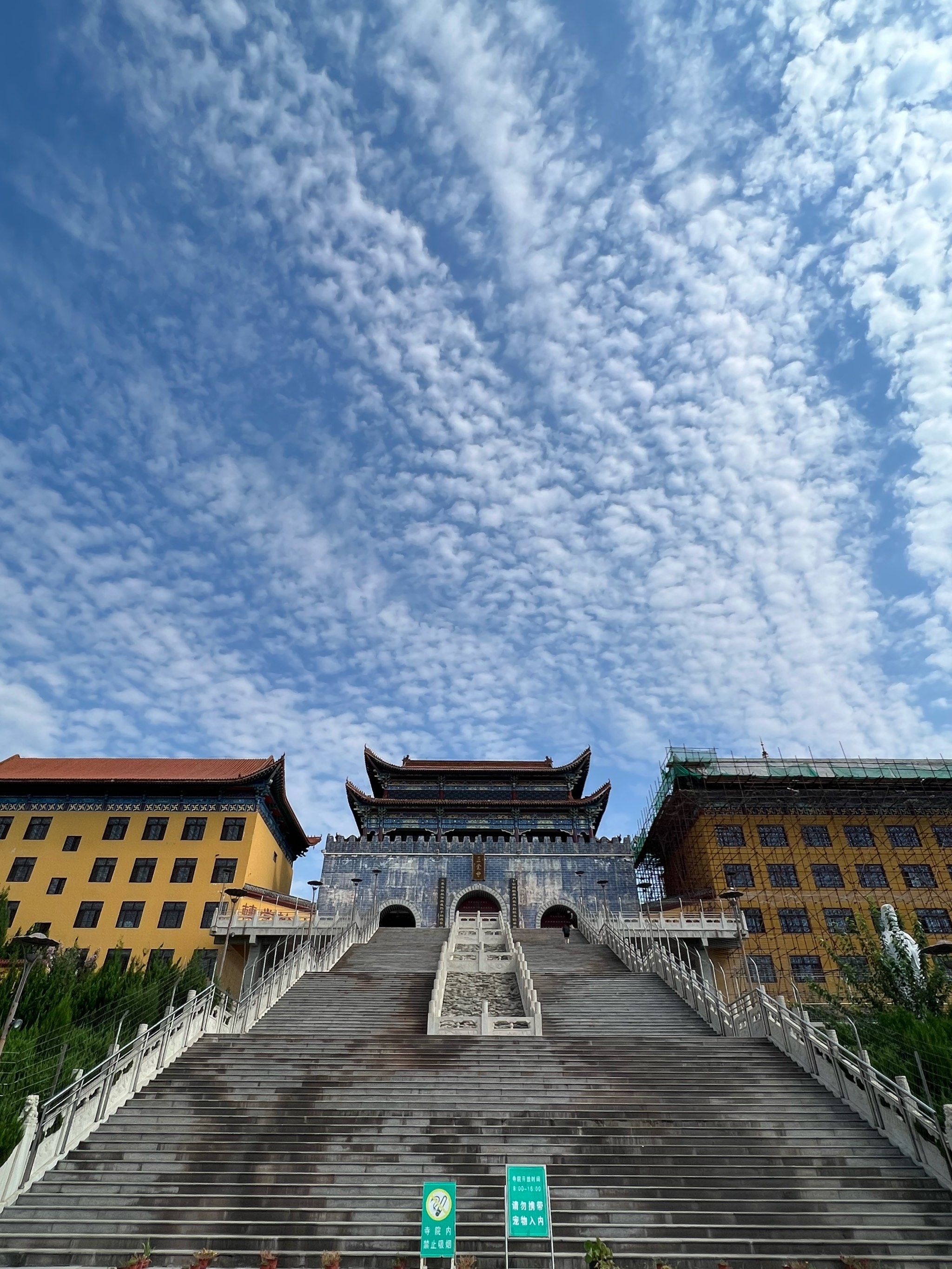 玩转这座城 一花一木一世界一叶一树一菩提 \\n\\n博山景美人杰地灵