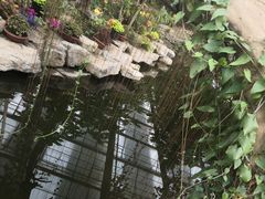 -南通洲际绿博园