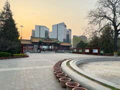 -莲花池公园