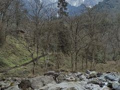 -西岭雪山大飞水景区