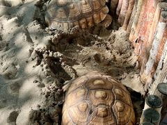 -水上乐园·欢乐世界