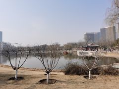 -西海子公园