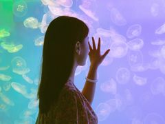 -左海海底世界